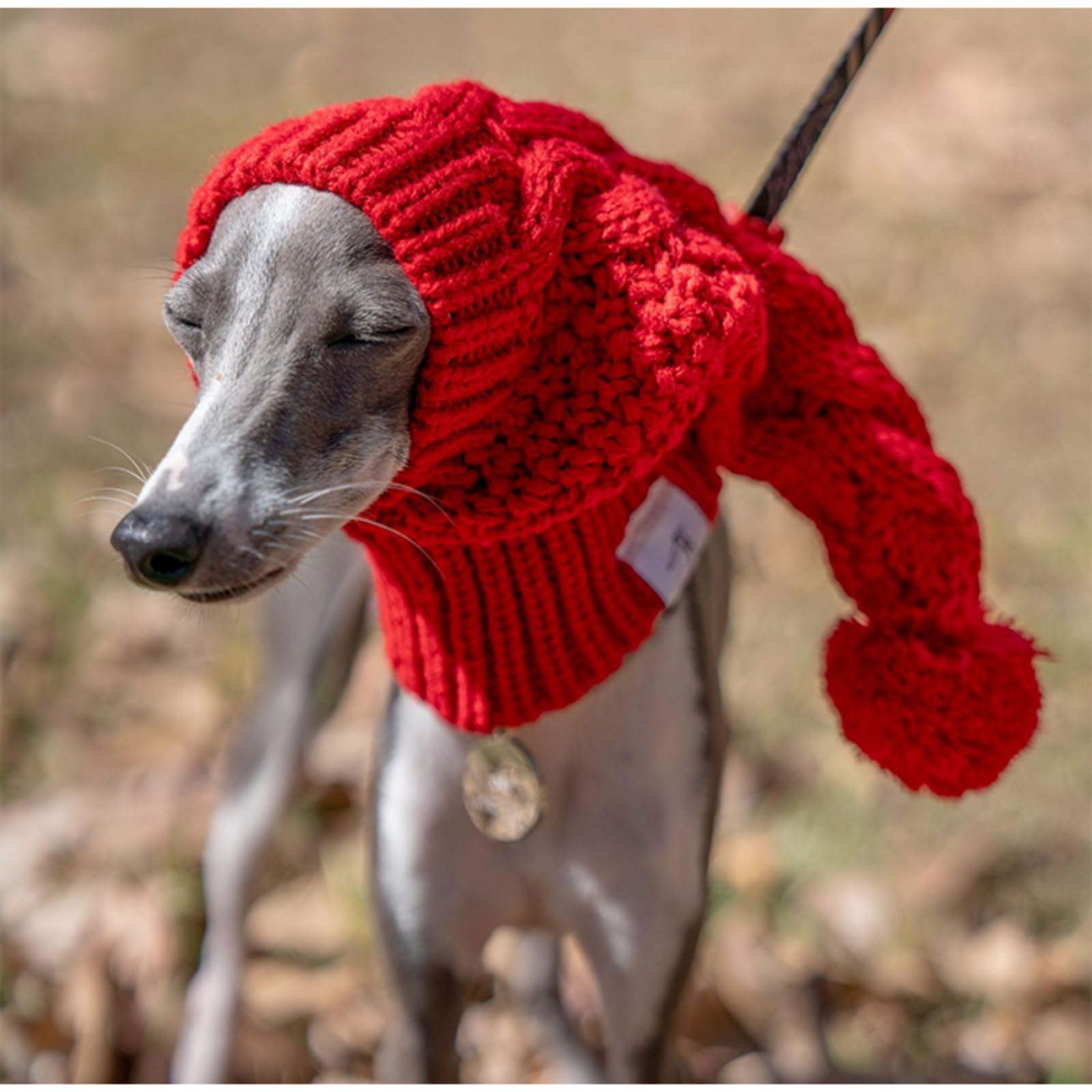 Amazon | イタグレ ニット帽 犬服 ウィペット ミニピン 防寒 暖かい